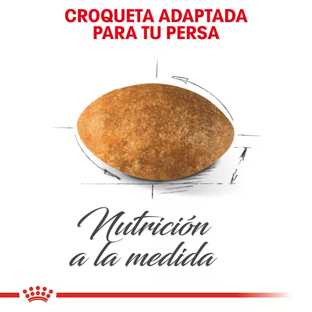 Royal Canin Persa Adulto 3.1 kgs