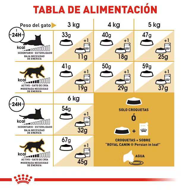 Royal Canin Persa Adulto 3.1 kgs