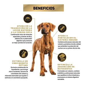 Pro Plan Cachorro Raza Grande Receta Pollo y Arroz