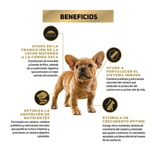 Pro Plan Cachorro Raza Pequeña Receta Pollo y Arroz