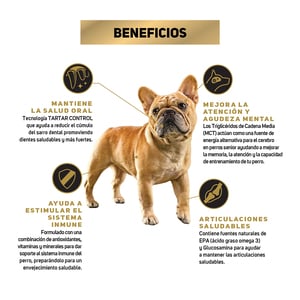 Pro Plan Optiage Active Mind Alimento Seco para Perro Senior Raza Pequeña Receta Pollo y Arroz