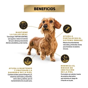 Pro Plan Optiderma Sensitive Skin Alimento Seco para Perro Adulto Raza Pequeña Receta Salmón y Arroz