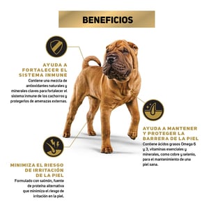 Pro Plan Optiderma Sensitive Skin Alimento Seco para Perro Cachorro Razas Mediana/Grande Receta Salmón y Arroz